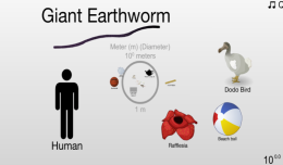 Scale of The Universe