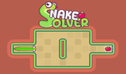 Snake Solver